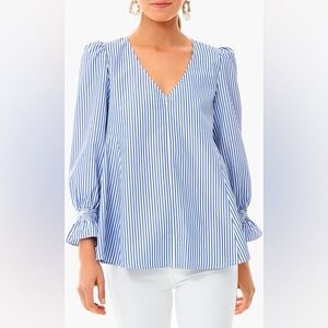 Tuckernuck Blue and White Striped V-Neck Blouse